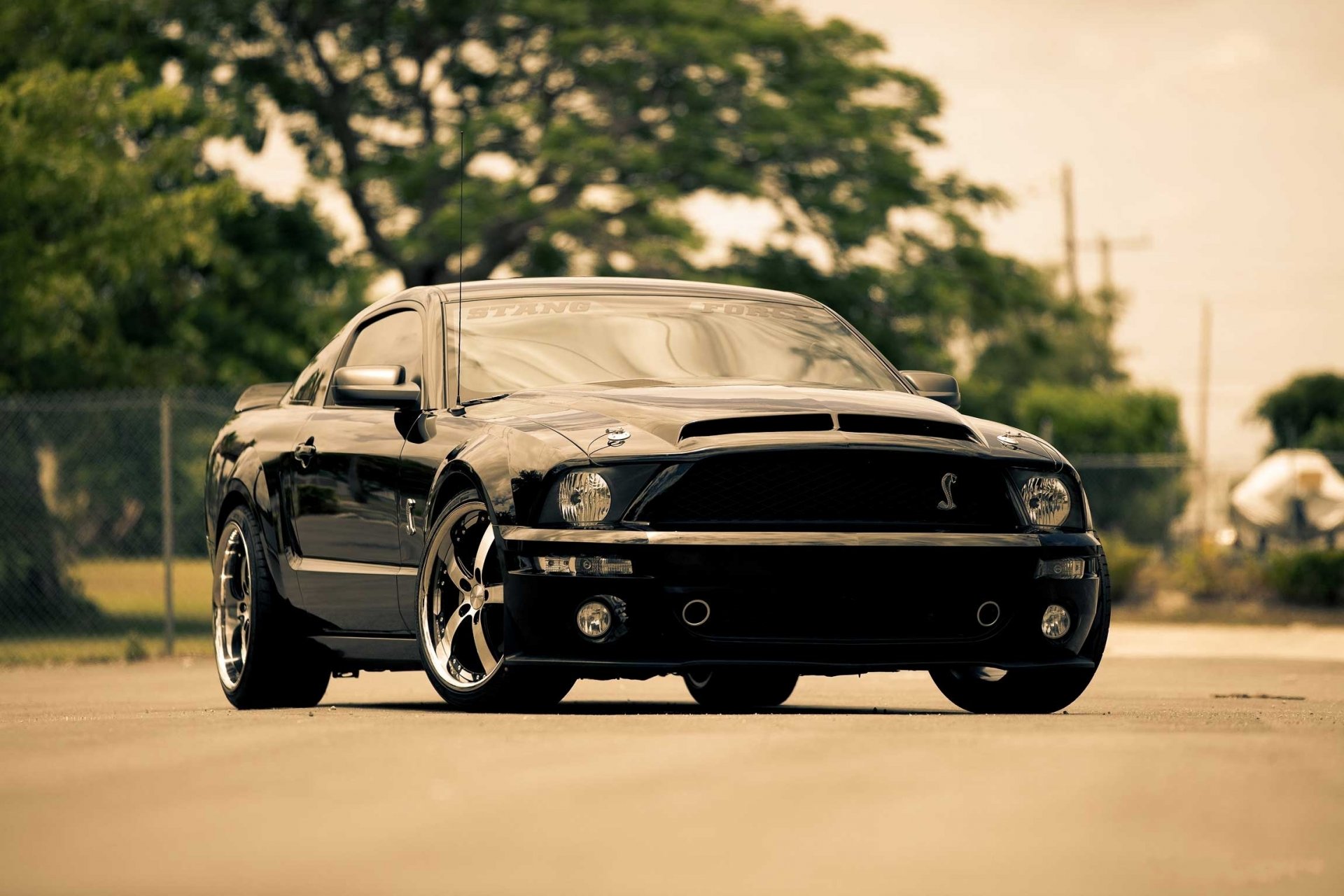 ford mustang gt negro parte delantera