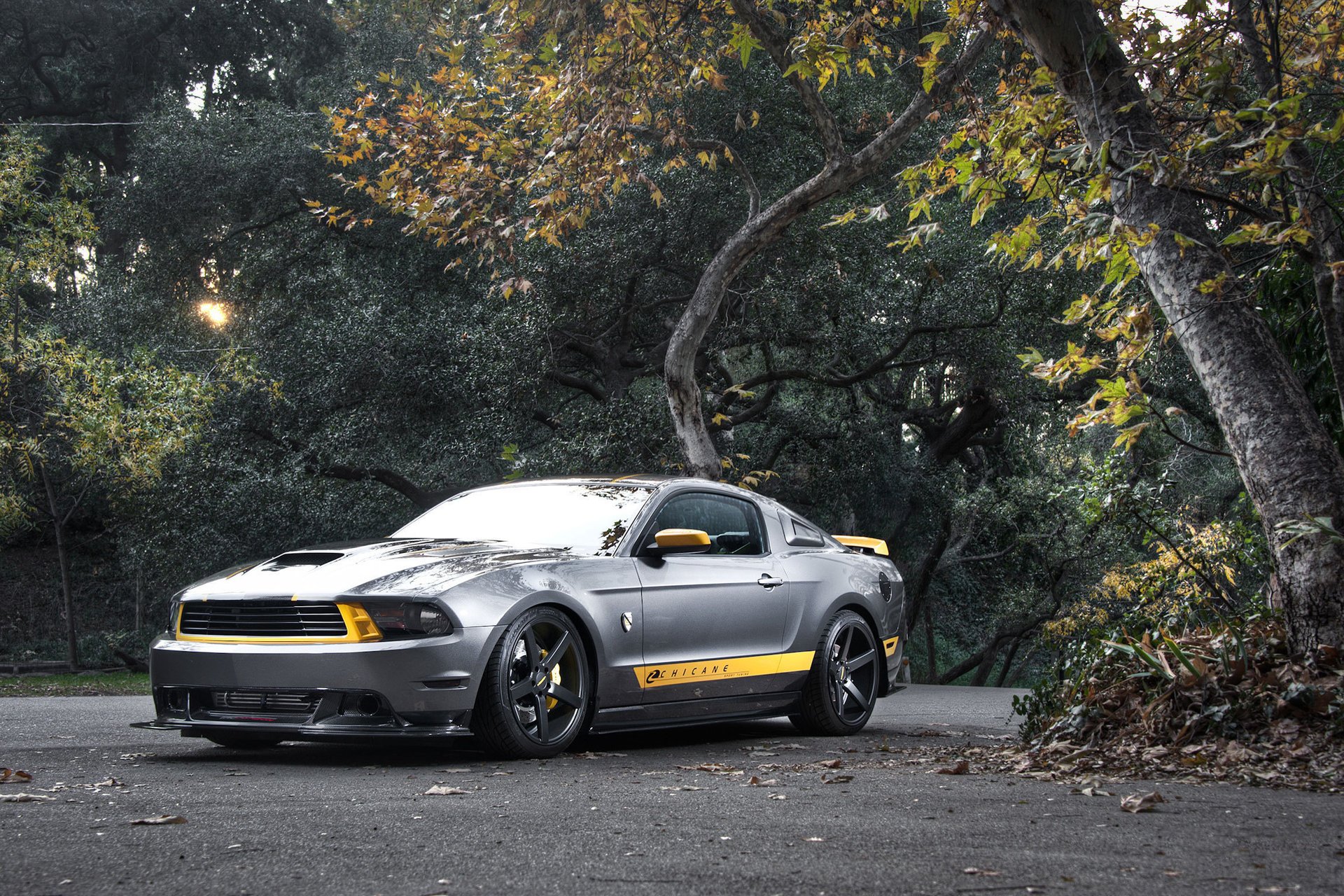 mustang ford ford silber gt silvery muscle car mustang