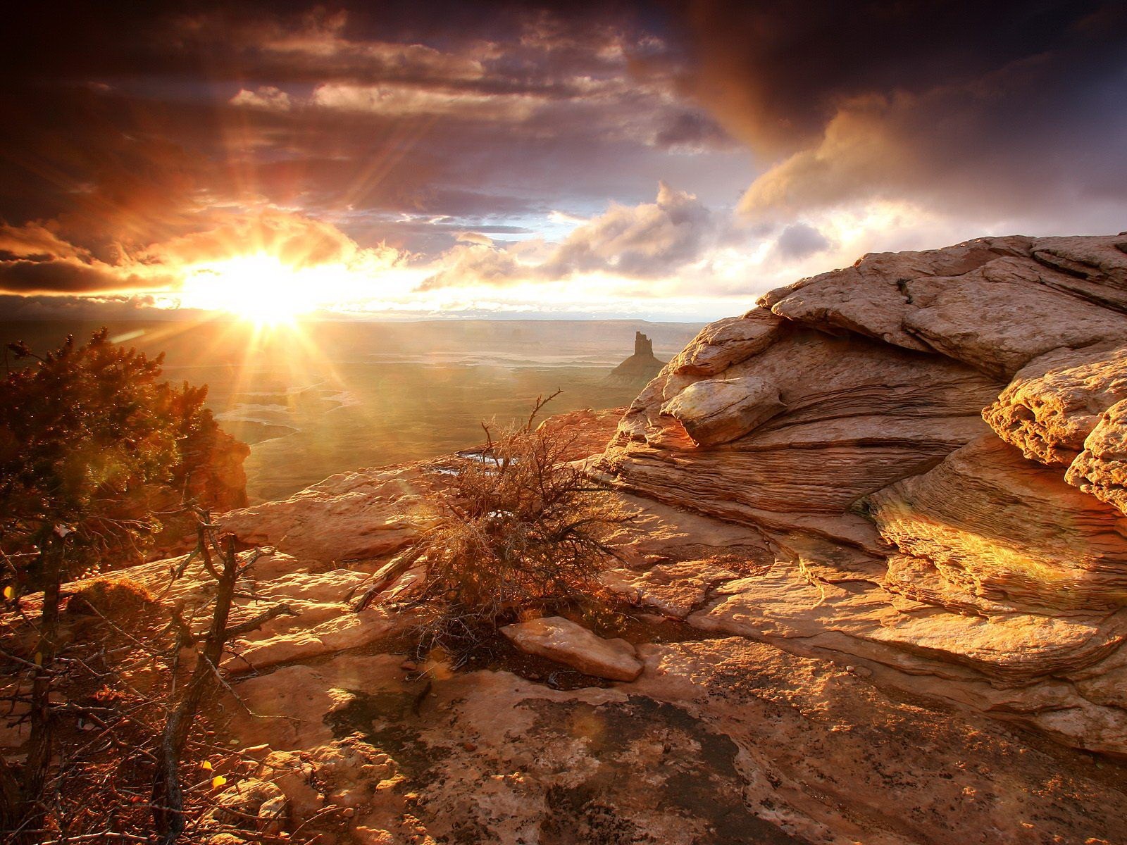 mattina rocce deserto