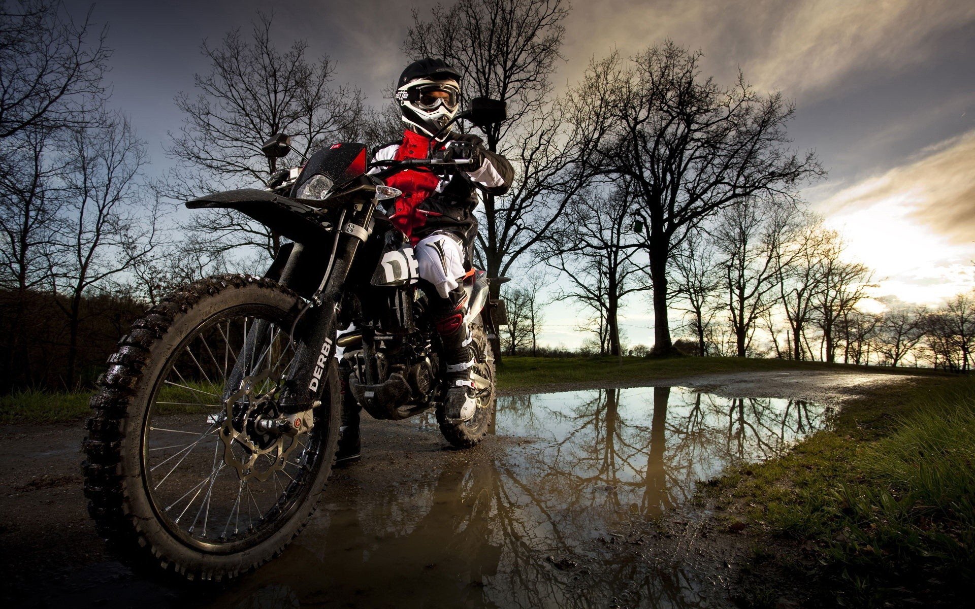 bike road a pool nature