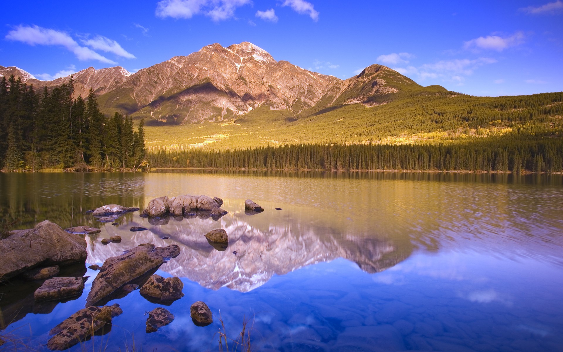 see berge reflexion