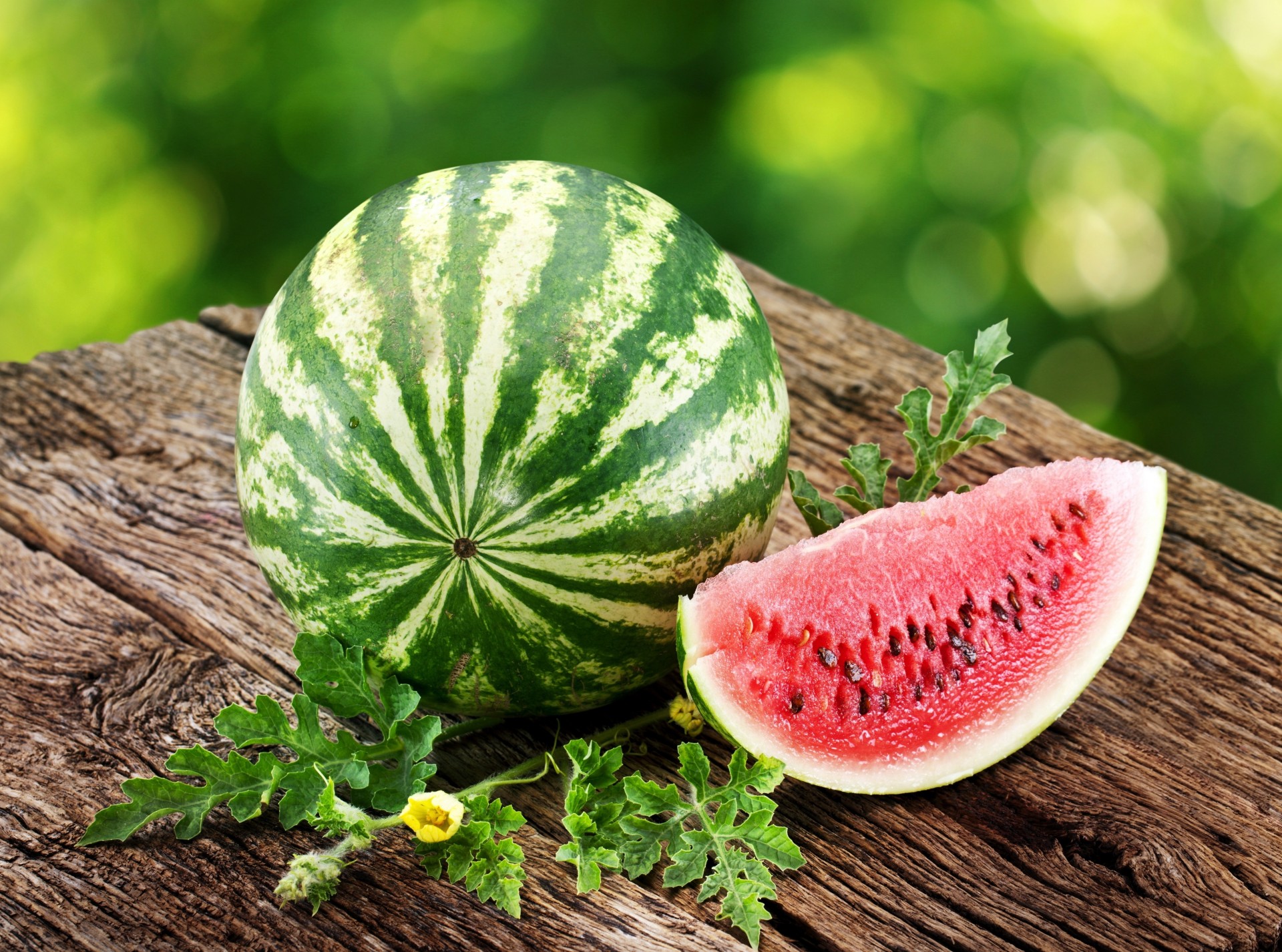 scheibe tisch wassermelone sommer fruchtfleisch