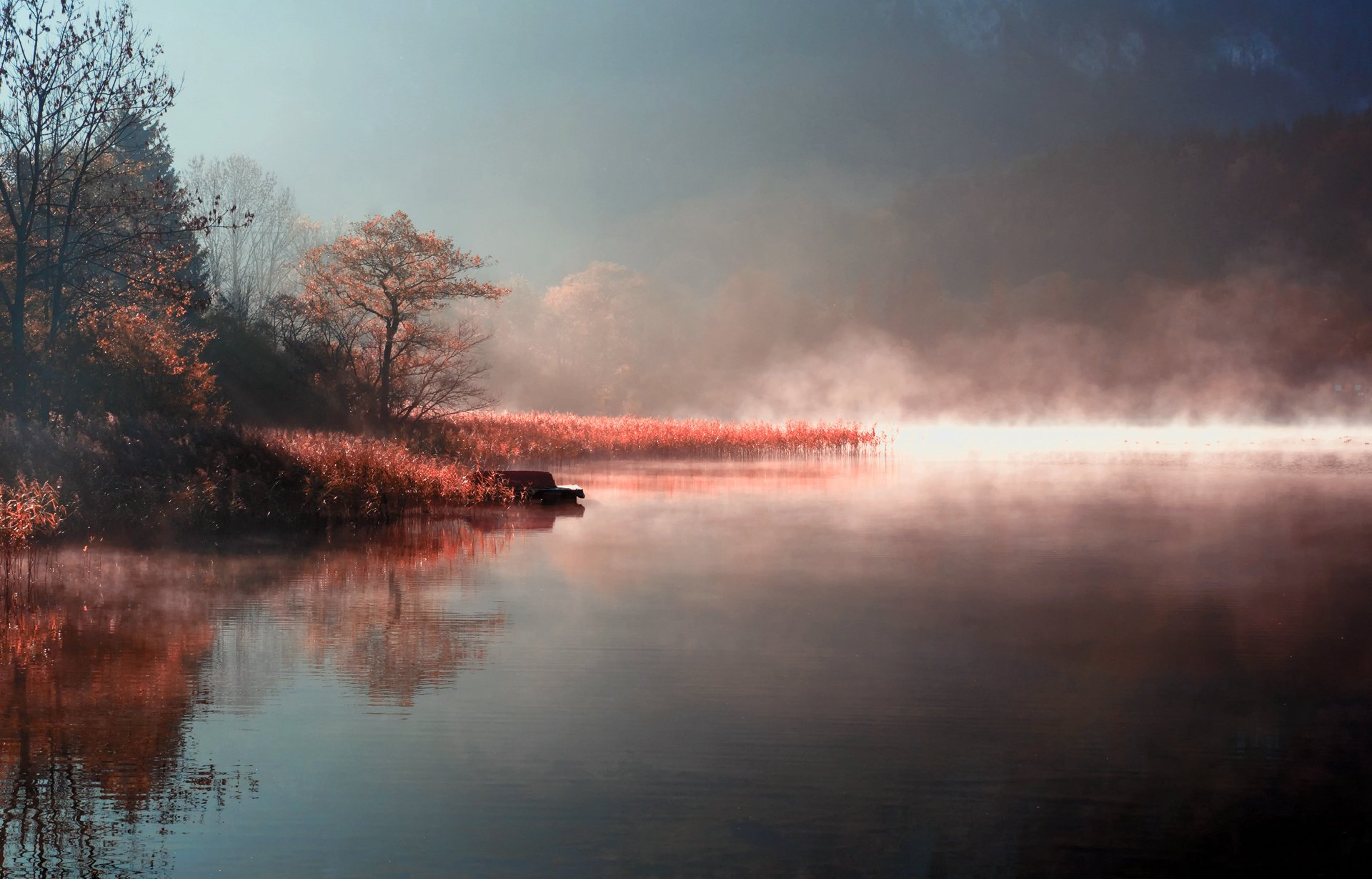 nature morning couples autumn lake river fog shore