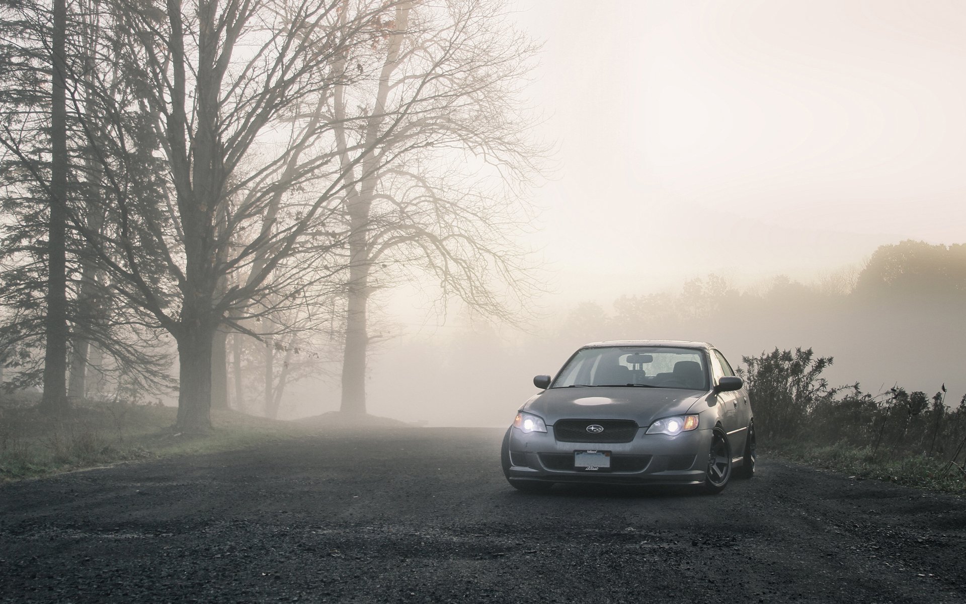 ubaru eredità subaru legacy auto nebbie strada albero alberi foto di auto