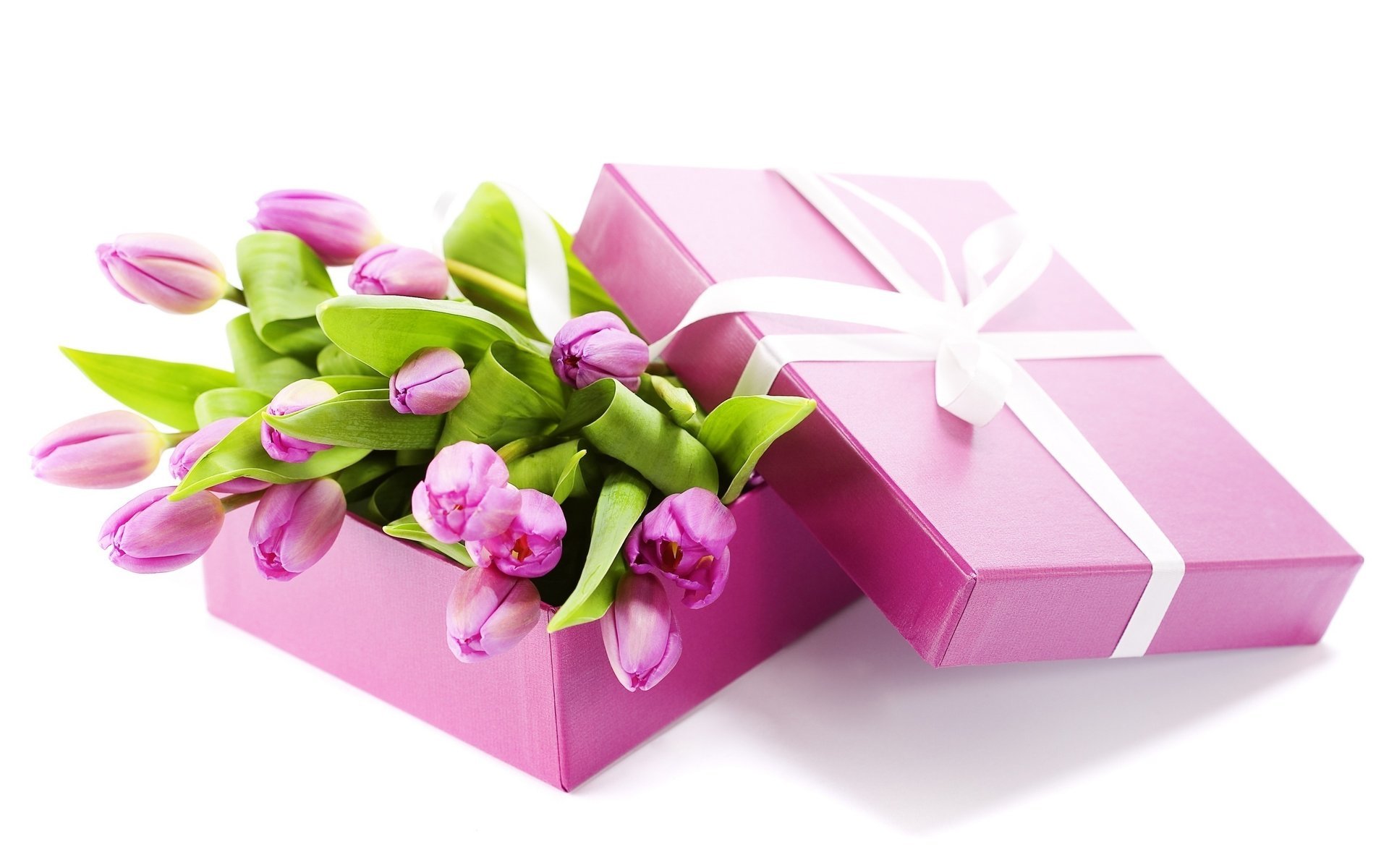 gift lilac bouquet box tulip