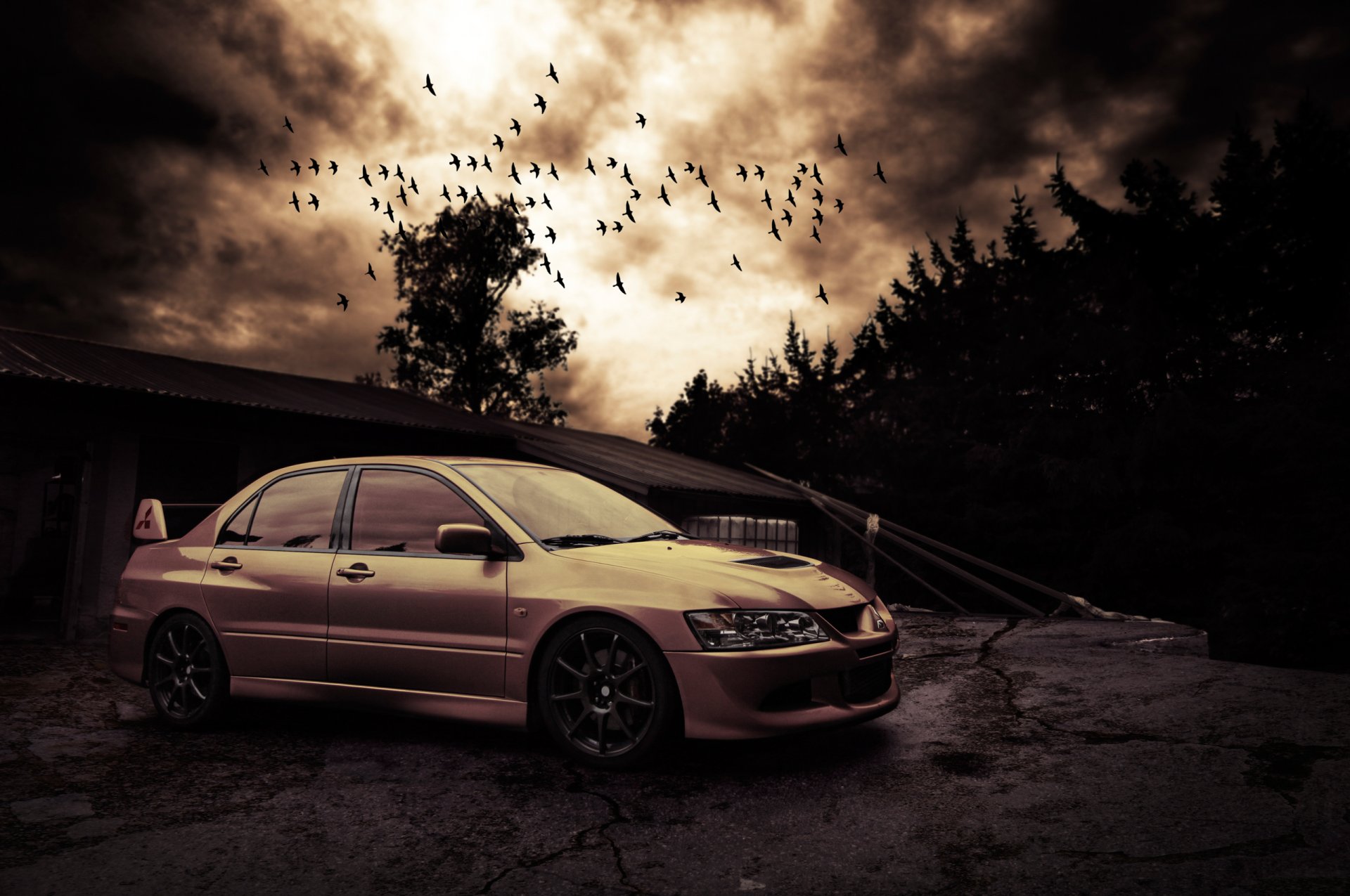 mitsubishi lancer evo viii birds night