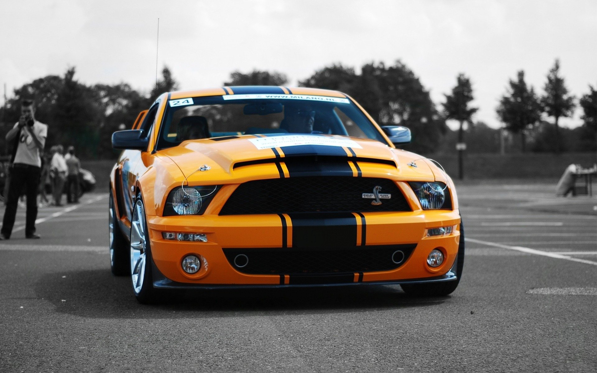 auto voitures shelby gt500