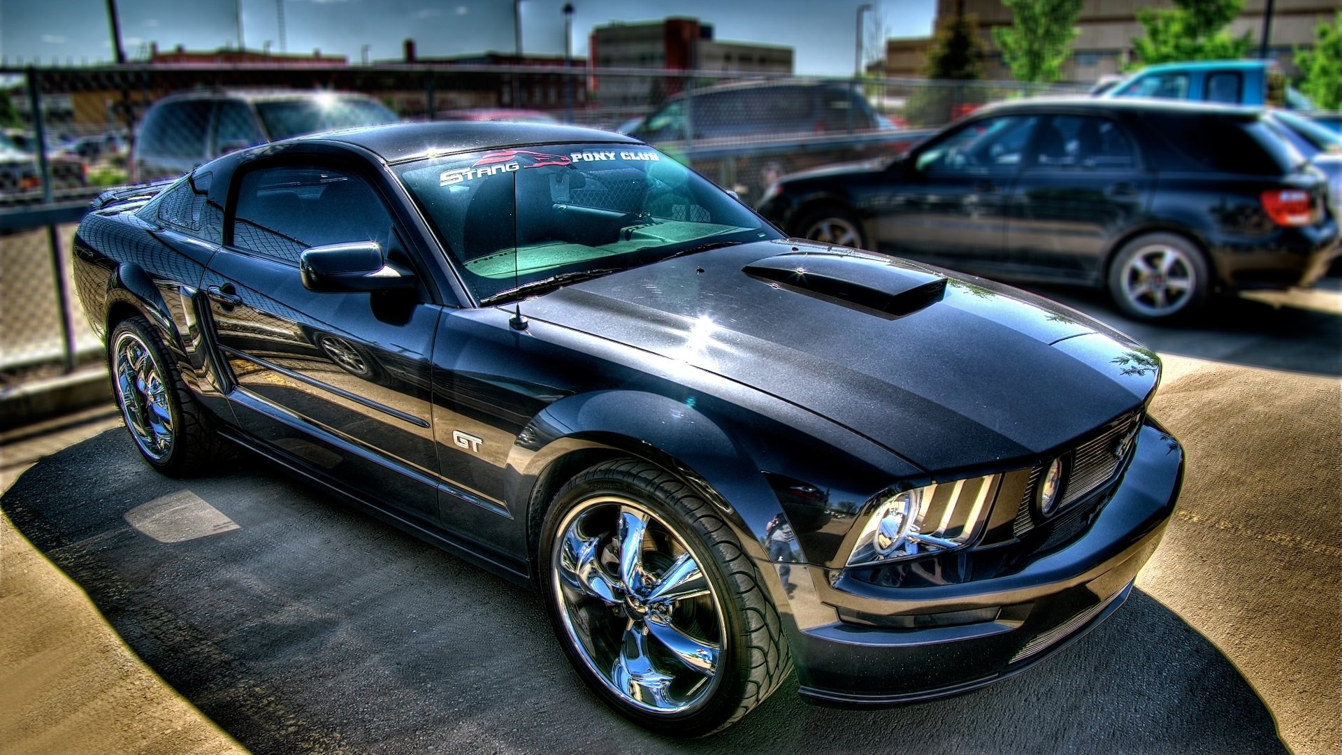 ford mustang gt500 shelby auto tuning auto