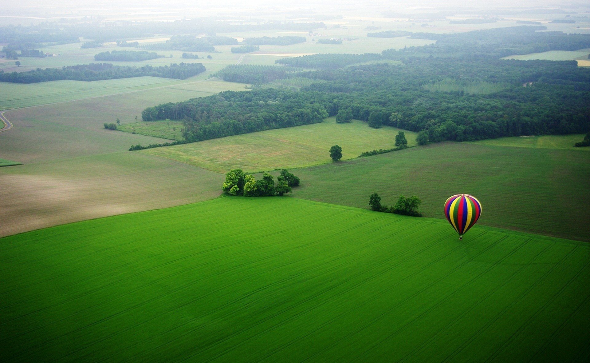 balon łąka niebieski żółty kolorowy czerwony