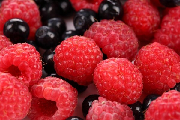 Ripe and juicy raspberries and currants