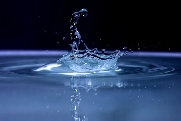 Bei der Makroaufnahme auf diesem Telefon sieht der Wassertropfen besonders klar aus