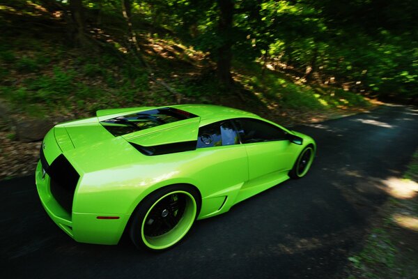 Bright, green, fast Lamborghini rushes through the forest 