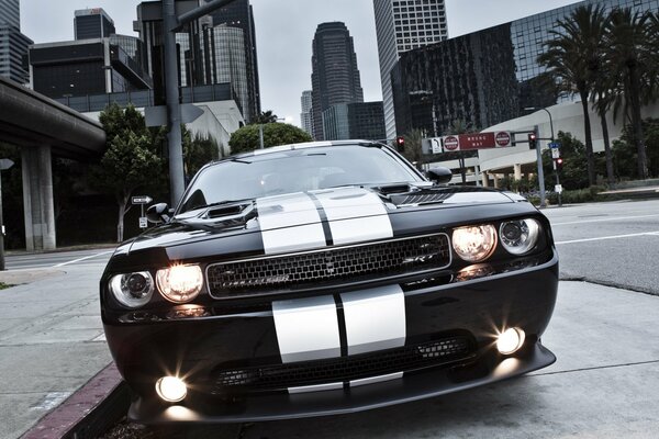 Dodge Challenger Muscle Car srt 8 geparkt in der Stadt