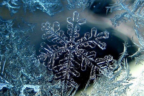 Immagine gelida invernale di un fiocco di neve freddo