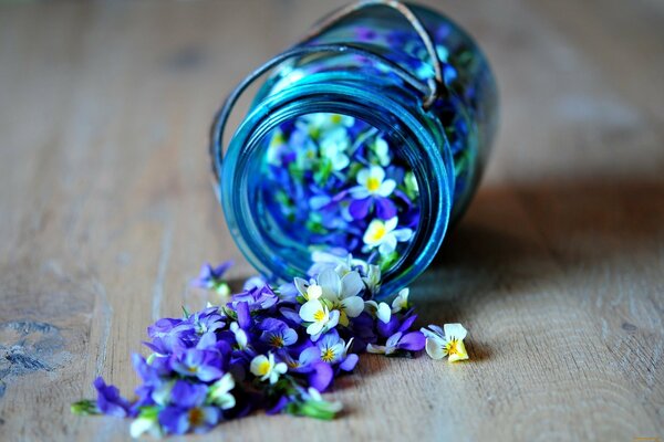 Niebieskie i fioletowe kwiaty rozsypały się ze słoika