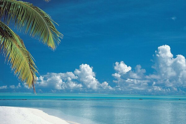 Spiaggia di Aitutaki sull Isola di Cook