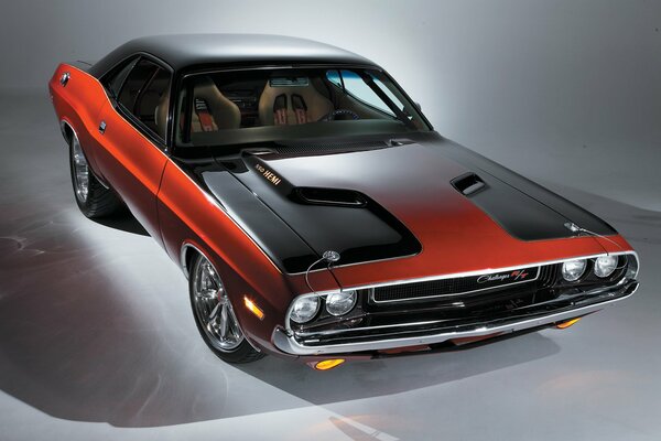 Dodge challenger in beautiful colors on a gray background