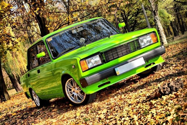 LADA di colore insolito nel fogliame autunnale