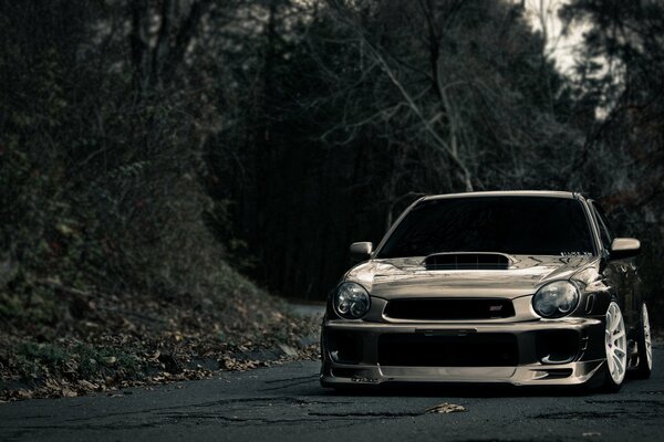 A golden-hued Subaru car on the road in a wooded area