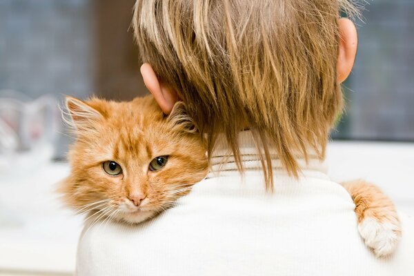 Die rothaarige Katze liegt auf der Schulter des Jungen