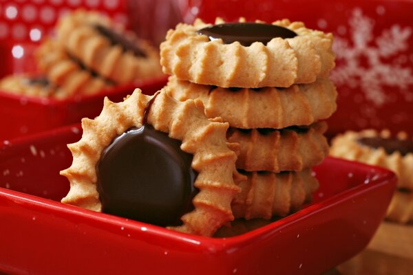 Shortbread delicious cookies with chocolate