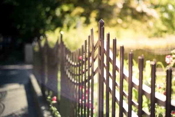 Summer fence on a sunny day