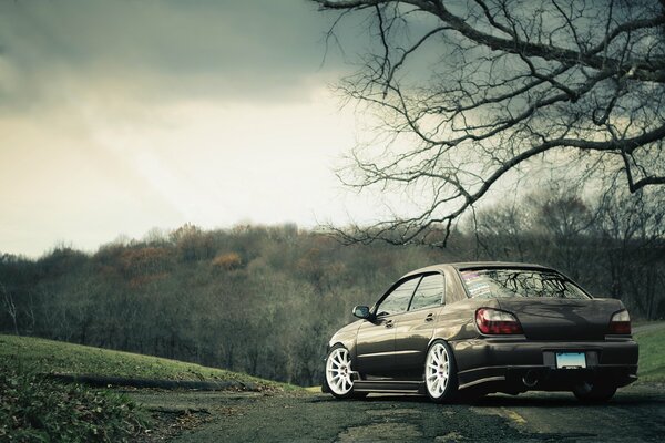 Subaru car on the background of autumn nature