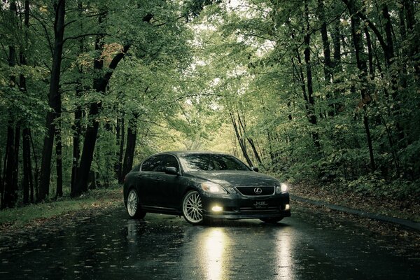 Lexus en été pluvieux sur la route