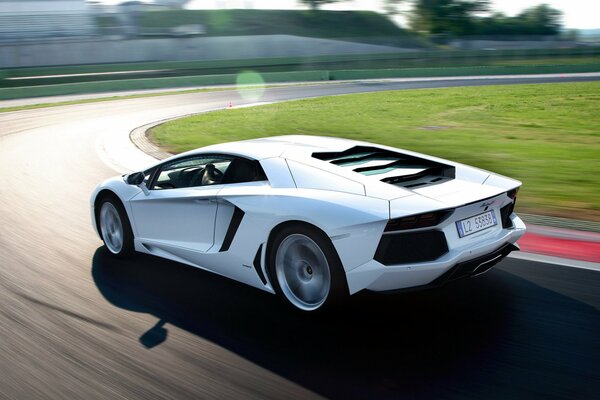Lamborghini supercar racing on a mountain track in the vicinity of the lawn