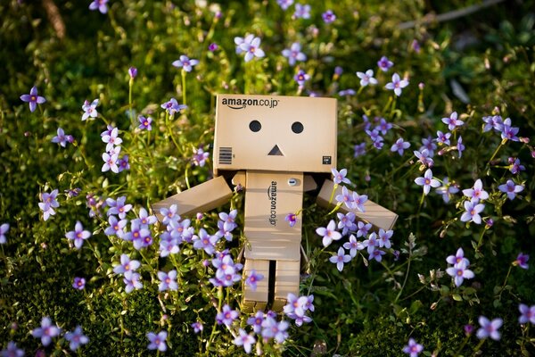 Robot box in the meadow