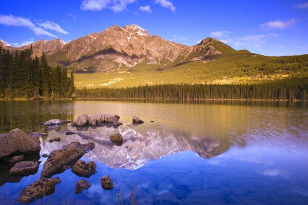 Inusual reflejo de la naturaleza en el lago