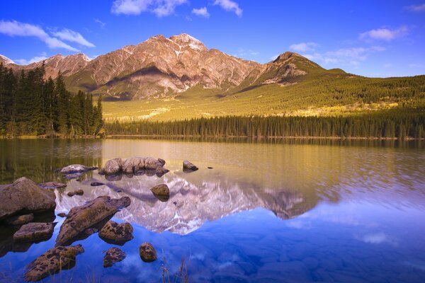 Необычное отражение природы в озере