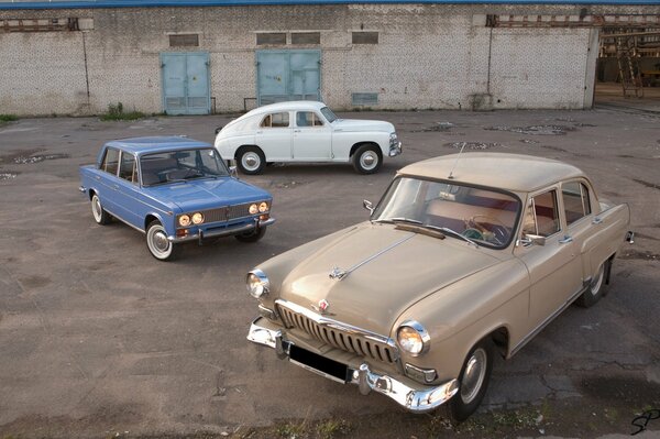 Old Soviet cars are on the site