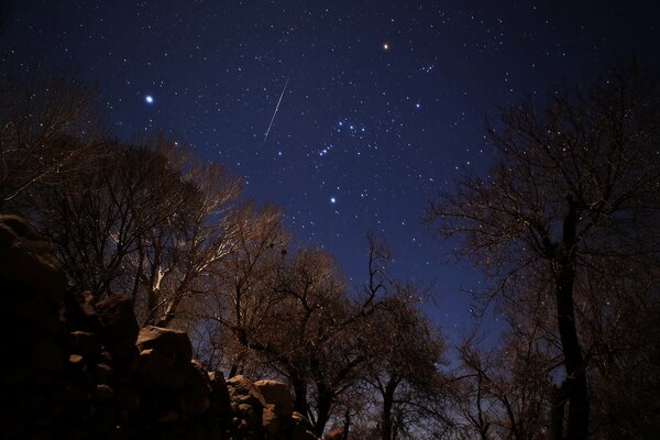 Osservare il cielo stellato di notte