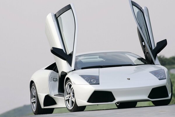 Lamborghini murciélago lp640 blanco en la carretera con puertas elevadas