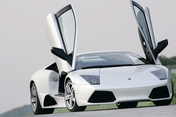 Белый lamborghini murcilago lp640 на дороге с поднятыми дверями