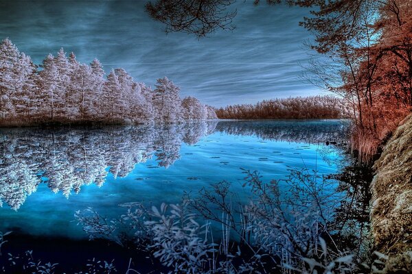 La forêt près du lac crée une atmosphère particulière