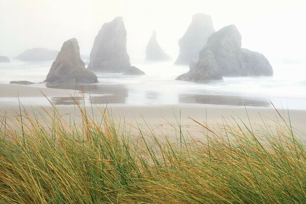 Seductora vista del mar y las rocas durante la niebla