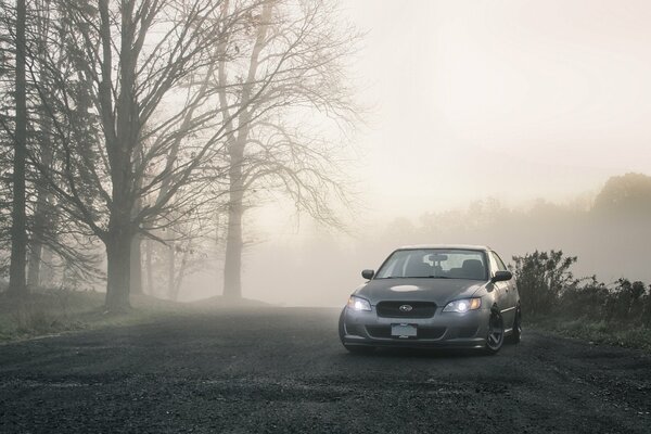 Foggy road, silver Subaru
