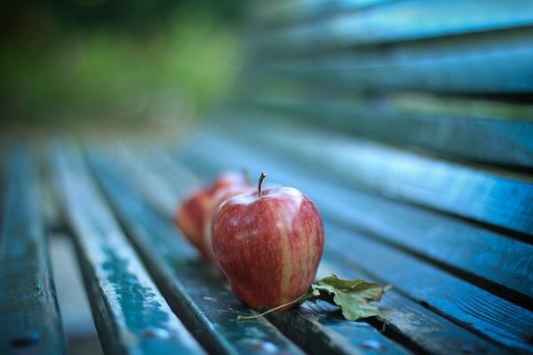 Dwa jabłka i liść na pustym ławce w środku jesieni
