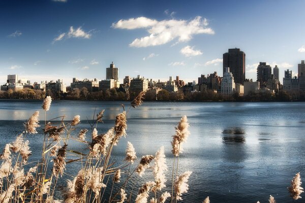 Magnificent lake view in New York s Central Park