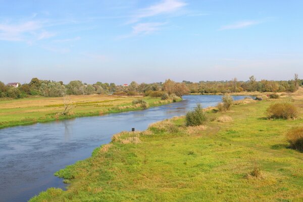 Fluss und Bäume. Horizont. Landschaft