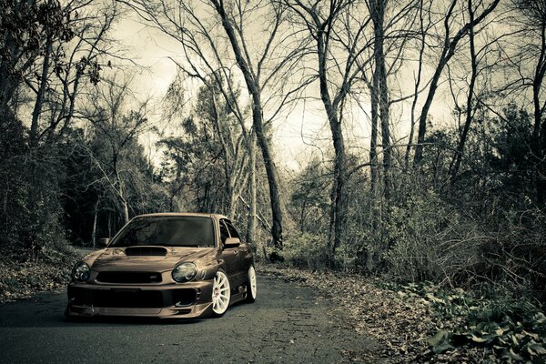 Beautiful picture of Subaru impreza in nature