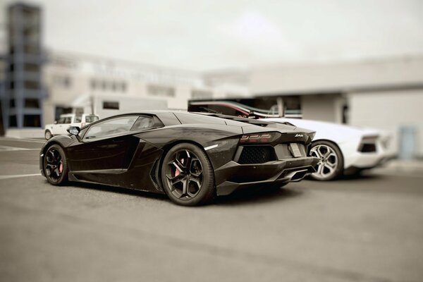 Black and white Lamborghini Aventador