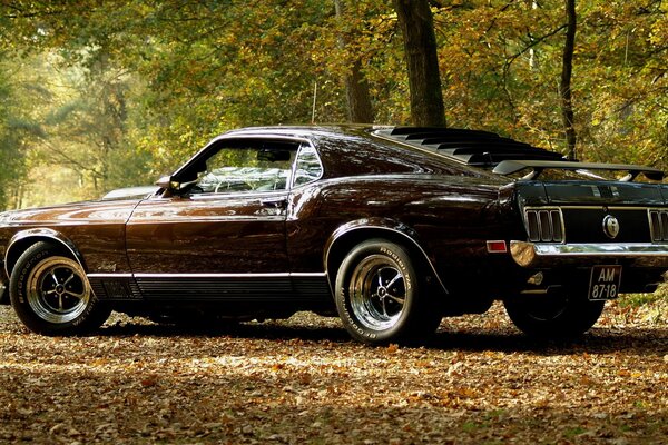 Schickes Auto der Marke Mustang auf dem Hintergrund des Herbstwaldes