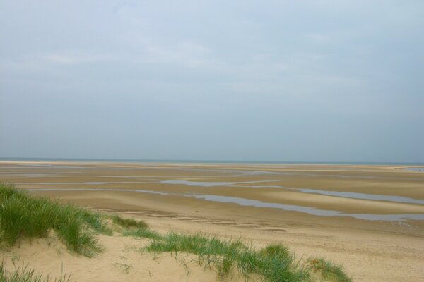 Sandy beach with grass at low tide