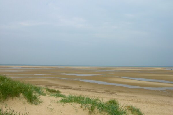 Playa de arena con hierba durante la marea baja