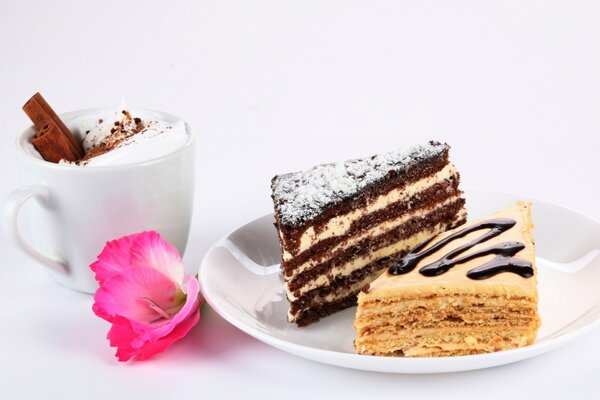 Zwei Stück Kuchen auf einem weißen Teller mit einer Tasse Kaffee