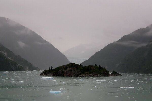 Eisblöcke und eine kleine Insel