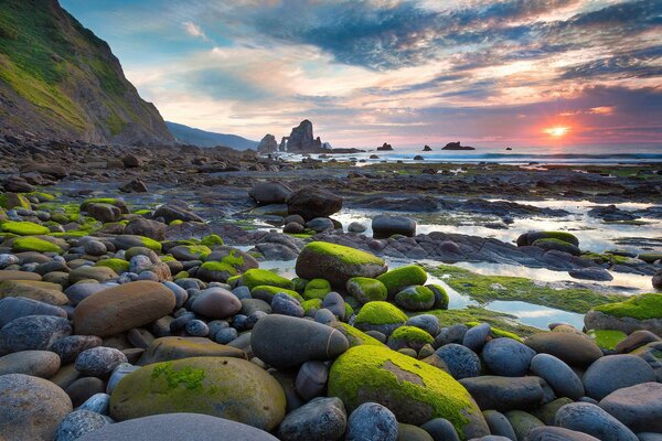 The stones are covered with moss on the seashore at sunset